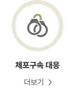 체포·구속·영장 단계 성범죄 변호사 대응 안내